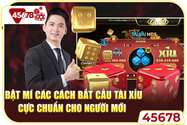 Bật Mí Các Cách Bắt Cầu Tài Xỉu Cực Chuẩn Cho Người Mới