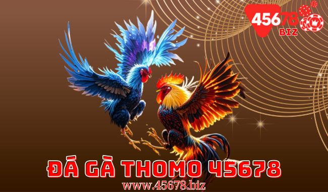 Đá gà Thomo 45678 - Các giải đấu cá cược kịch tính và hấp dẫn