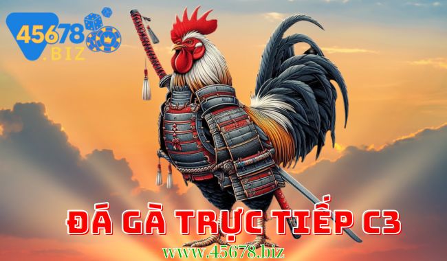 Hình ảnh đá gà trực tiếp C3 tại 45678 – Trải nghiệm giải trí đỉnh cao và cơ hội cá cược hấp dẫn